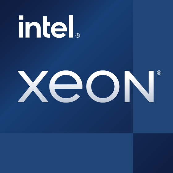 Intel XEON E-2388G - TRAY