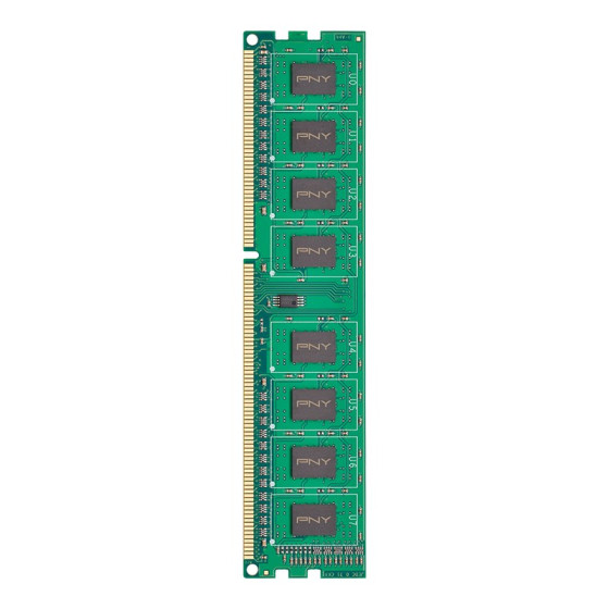 PNY MD8GSD31600-SI 8GB DDR3 1600MHz CL11