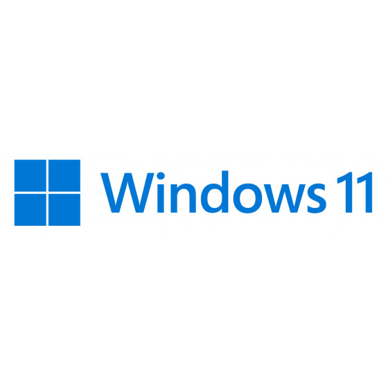 MS Windows 11 Professional 64bit English 1pk DVD OE